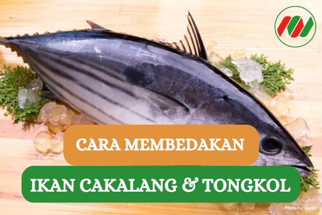 Ini Dia 5 Cara Mudah Membedakan Ikan Cakalang dengan Ikan Tongkol